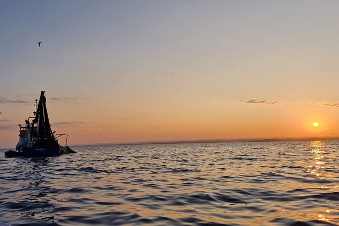 Dolphin Sunrise Adventure with Speedboat - Photo Time and the Best Way to Enjoy the Deck