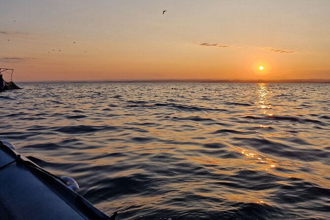 Dolphin Sunrise Adventure with Speedboat - Price and Value: Is $42.17 Worth It?