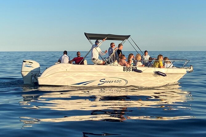 Dolphin Sunrise Adventure with Speedboat - Who This Trip Suits Best (and Who Might Skip It)