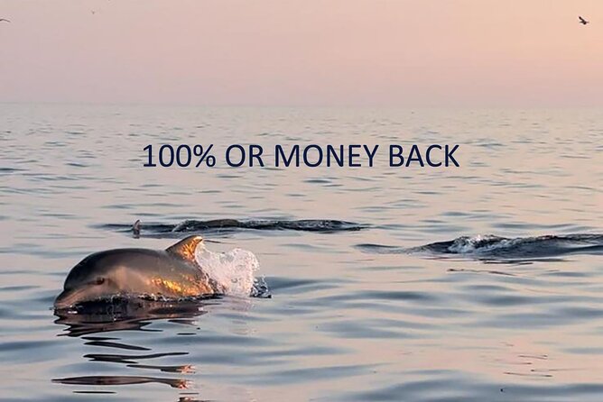 Dolphin Sunset Adventure with Speedboat - On the speedboat: comfort, seating, and staying dry