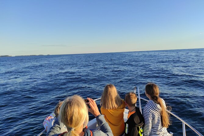 Dolphin Sunset Adventure with Speedboat - Finding dolphins respectfully with the expert skipper