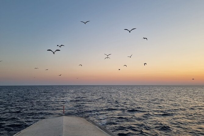 Dolphin & Sunset tour with Brijuni panorama - Who This Tour Fits Best
