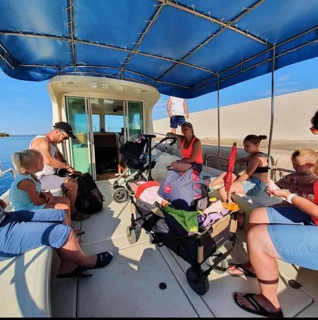 Dolphin tour 2 hours - What You’re Really Looking For (And Why Waiting Can Pay Off)