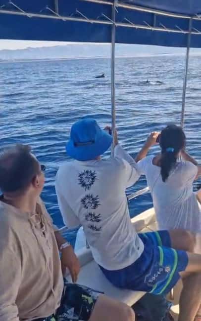 Dolphin tour 2 hours - Who This Tour Suits (And Who Should Skip It)