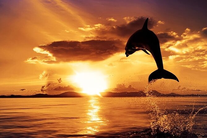 Dolphin Watching & Sunset Boat Tour With Dinner and Drinks - The Europa boat: comfort that matters when the wind picks up