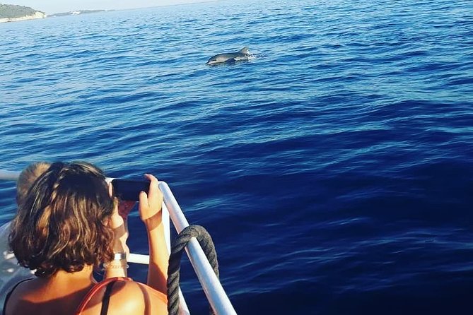 Dolphin Watching & Sunset Boat Tour With Dinner and Drinks - Dolphin watching in Brijuni: what to expect when the boat finds a pod