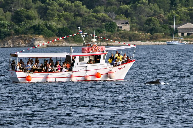 Dolphin Watching Sunset Boat Trip in Pula with Dinner - Sunset on the water: why timing can make or break the evening