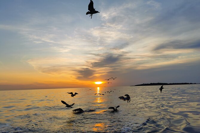 Dolphin Watching Sunset Boat Trip in Pula with Dinner - Itinerary breakdown: what you do during the 3 hours