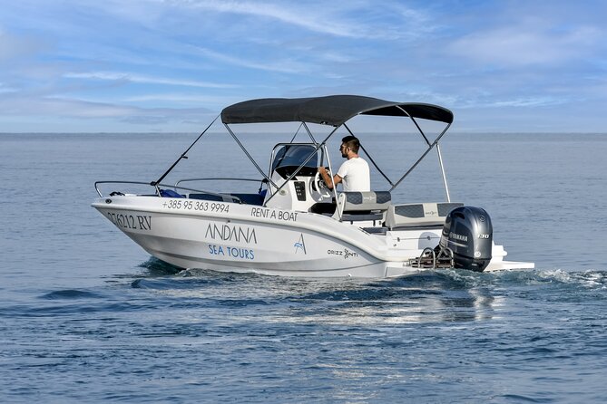 Dolphin Watching Sunset Speedboat Tour with Drinks in Rovinj - Price and value: is $75.62 worth it?