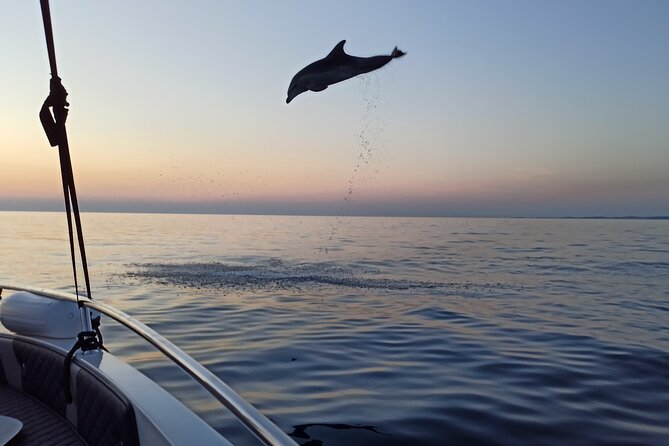 Dolphin Watching Sunset Speedboat Tour with Drinks in Rovinj - Who this tour fits best (and who should pick something else)