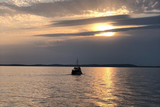 Dolphin Watching Tour – 85% Chance – Drinks & Dinner Included - Who should book this tour, and who should skip it