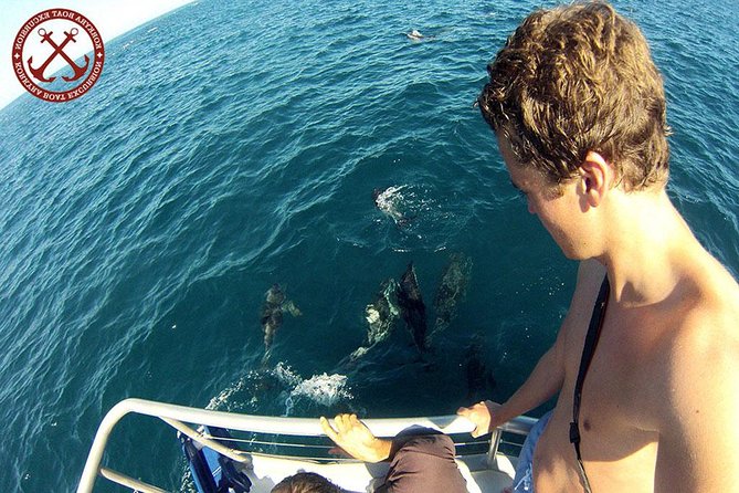 Dolphins Watching in the National Park Brijuni from Pula - Key Highlights That Matter