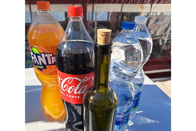 Dolphins Watching in the National Park Brijuni from Pula - The Open Bar and Dinner: Value, Food Choices, and What You Should Know