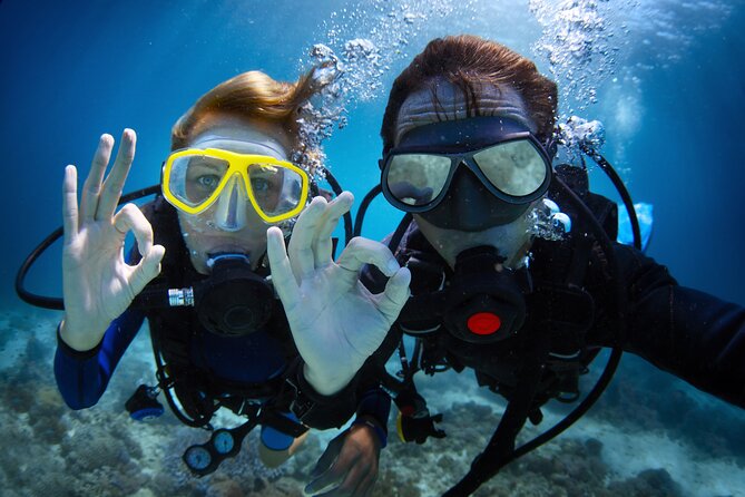 DSD - First time diving course - English instruction: helpful for beginners who hate awkward guessing