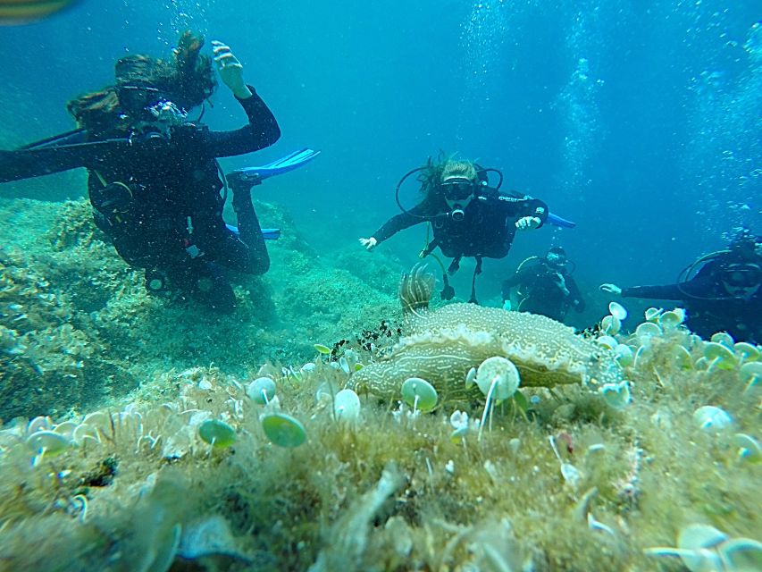 Dubrovnik: 1-Day Discover Scuba Diving Course - Theory and equipment briefing, the part that makes you feel in control