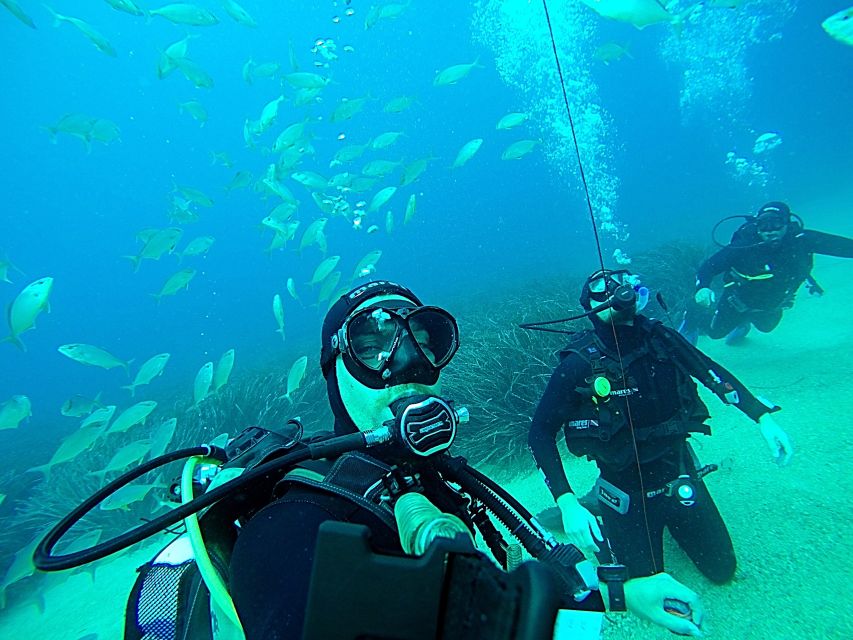 Dubrovnik 2-Hour Uncertified Divers Introductory Dive - Equipment and the small-group coaching advantage