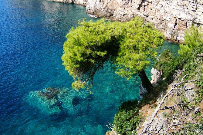 Dubrovnik: 3 Islands Boat Tour with Lunch & drinks(FR, ES, EN) - Crew personalities: Joseph, Lorenzo, Jakub, Laura, and Ivonne