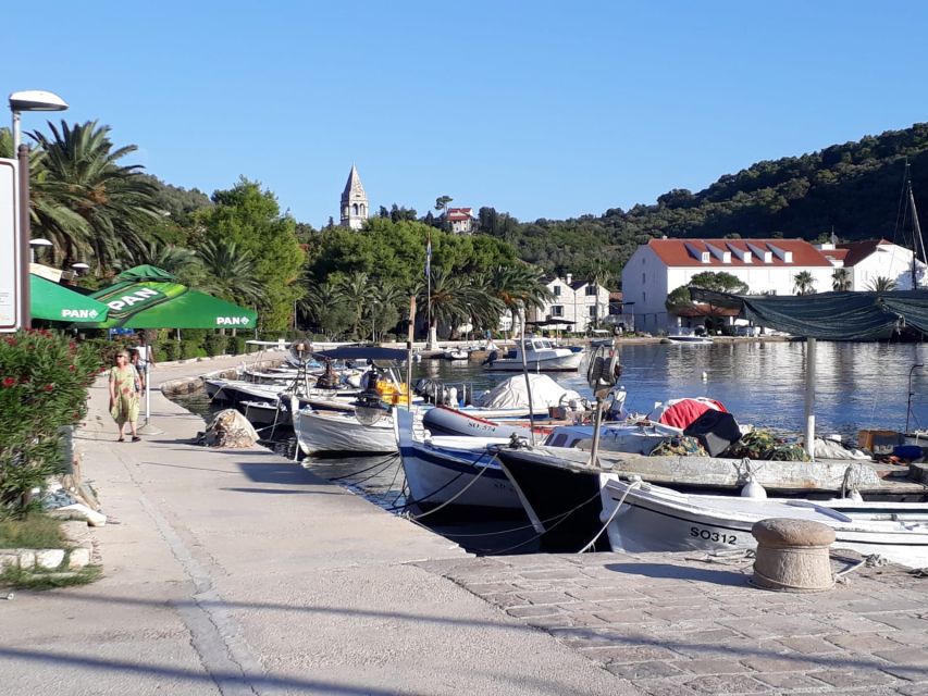 Dubrovnik:All inclusive Private Tour with Blue Cave Visit - What’s included on board, and what you should bring