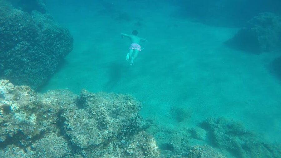 Dubrovnik:All inclusive Private Tour with Blue Cave Visit - Pickup and meeting at Lapadska obala 4, plus drop-off flexibility