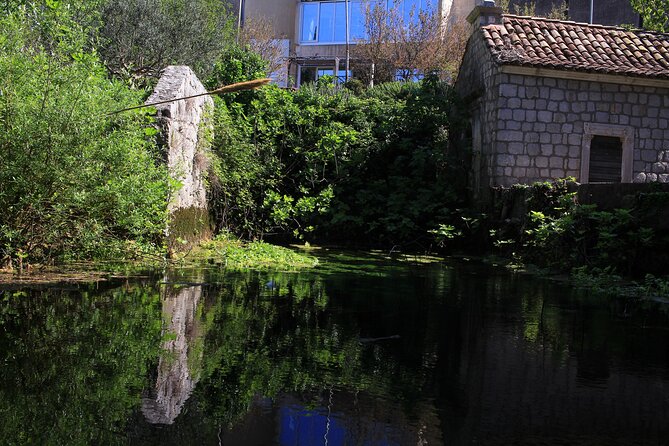 Dubrovnik: Best views Sightseeing Tour - Timing and pacing: four photo stops, but you control your energy