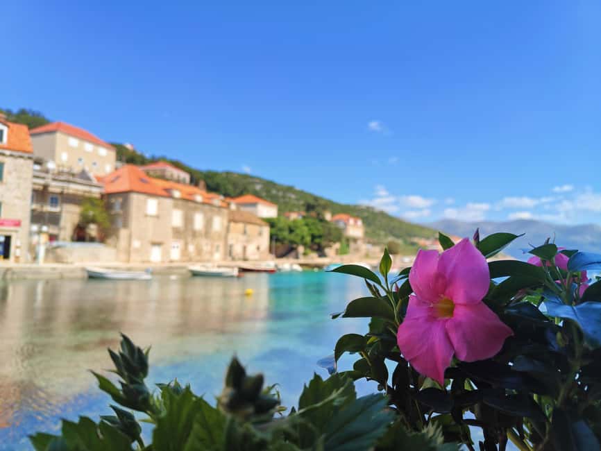 Dubrovnik: Blue Cave & Elaphiti Islands Full-Day Boat Tour - Koločep: car-free calm and village strolling in Donje Čelo