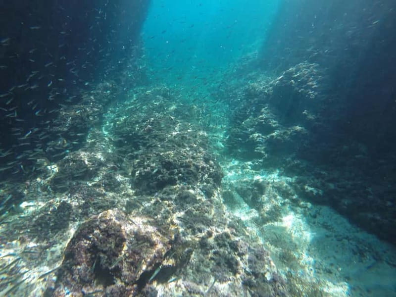 Dubrovnik: Blue Cave, Green Cave & Sunj Beach Speedboat Tour - Who should book this and who should skip it