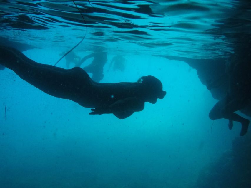 Dubrovnik: Blue Cave & Sunj Beach Boat Tour with Drinks - Speedboat start from Dubrovnik dock to Elaphiti Islands