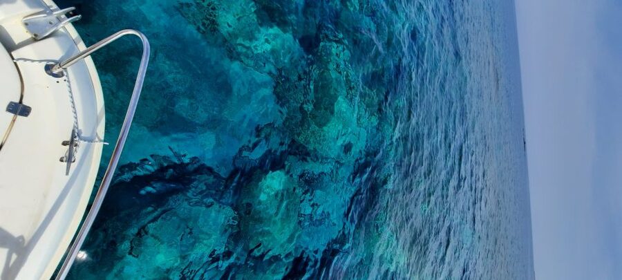 Dubrovnik: Blue Cave Tour by Speedboat - Blue Cave and Three Green Caves, in a 4-hour hit
