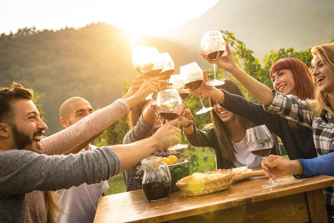 Dubrovnik Bosnia-Herzegovina Half-Day Wine Tour with Tastings - Price and value: what you’re really paying for