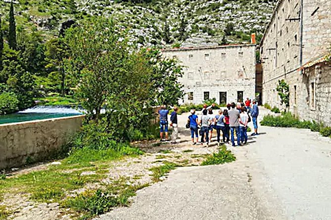 Dubrovnik City Tour: Panorama Drive & Sightseeing Walk - Finding your Horizon guide at Pile Gate or the cruise port