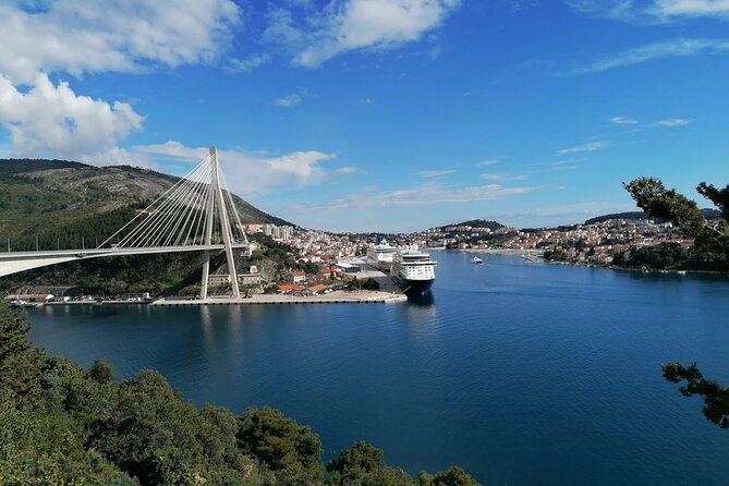 Dubrovnik City Tour with History, Photos & Round Trip Ride - Price and group size: is about $42 good value?