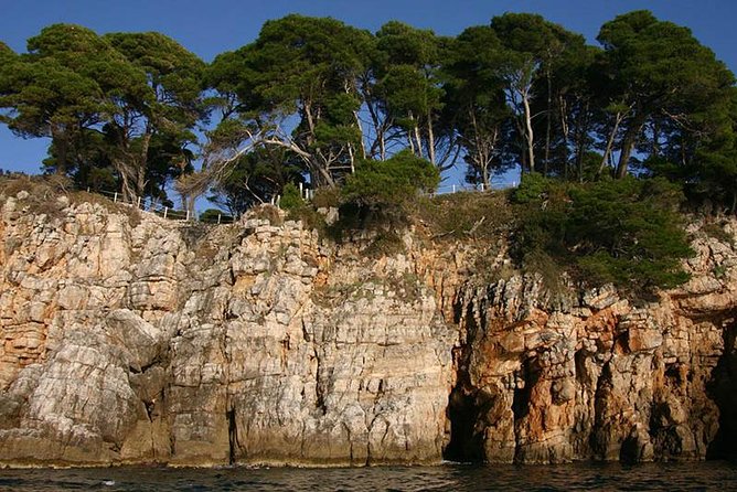 Dubrovnik Elafiti Islands Cruise with Lunch, Drinks and Pickup - Šunj Beach: The Most Famous Sandy Moment on the Schedule