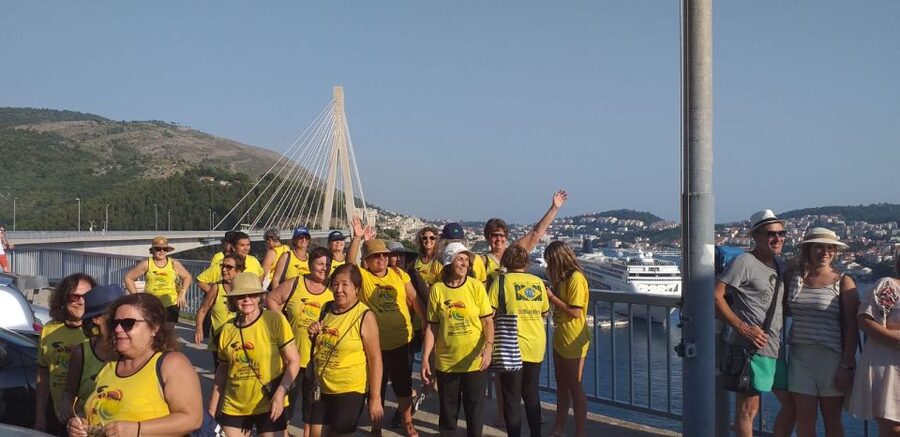 Dubrovnik: Guided Sightseeing Tour by Minivan - The Drive Toward Mt. Srđ: Viewpoints Above the Walled City