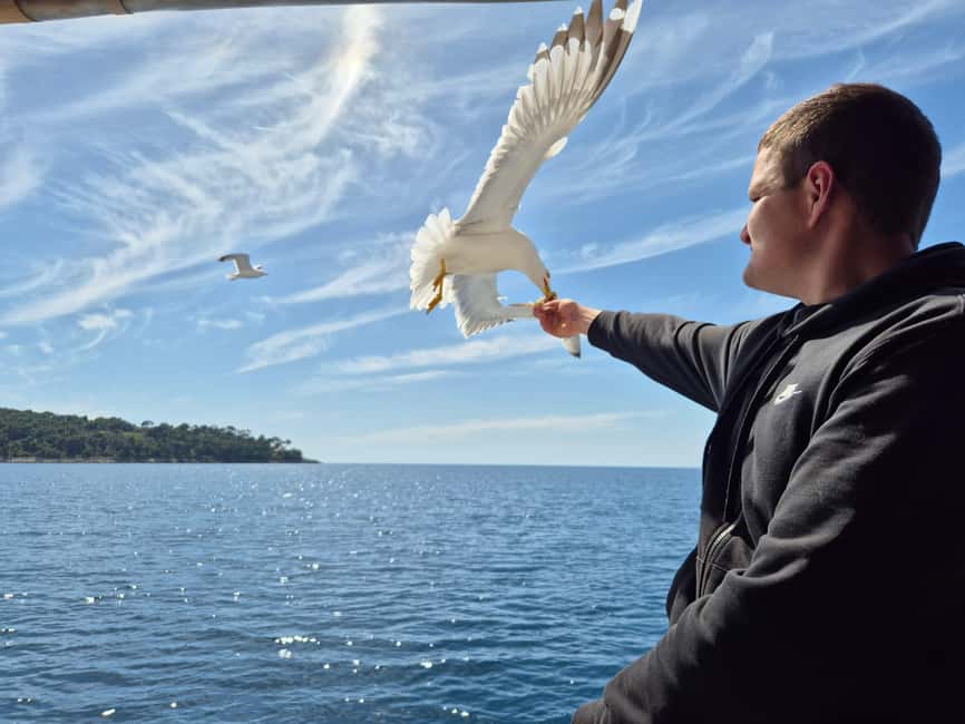 Dubrovnik: Island Boat Tour with Drinks & Lunch - Why the Elaphiti Islands boat day makes sense from Dubrovnik