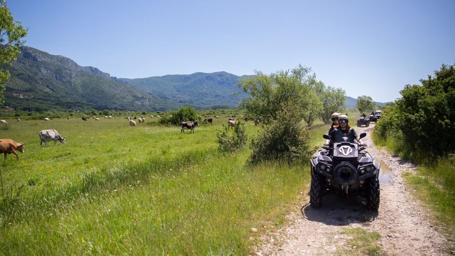 Dubrovnik: Kojan Koral ATV Quad Safari with transport - The Čilipi Stop: Break Time and a Village Detour That Actually Helps