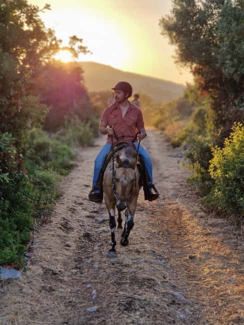 Dubrovnik Kojan Koral: Horseback Riding - Key highlights you’ll care about