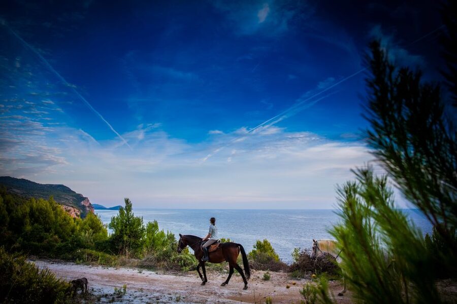 Dubrovnik Kojan Koral: Horseback Riding - Getting From Dubrovnik Hotels to Kojan Koral Ranch