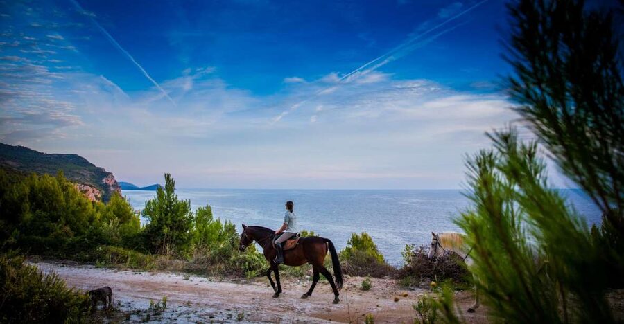 Dubrovnik Kojan Koral: Horseback Riding - The Two-Hour Ride Through Konavle Valley Forest Trails