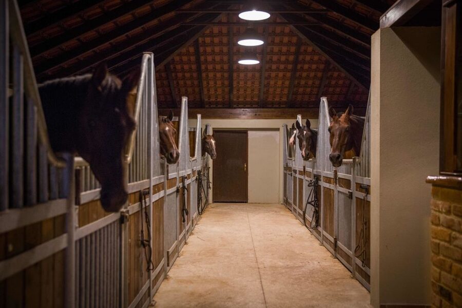 Dubrovnik Kojan Koral: Horseback Riding - Who Should Book This Dubrovnik Horseback Ride?