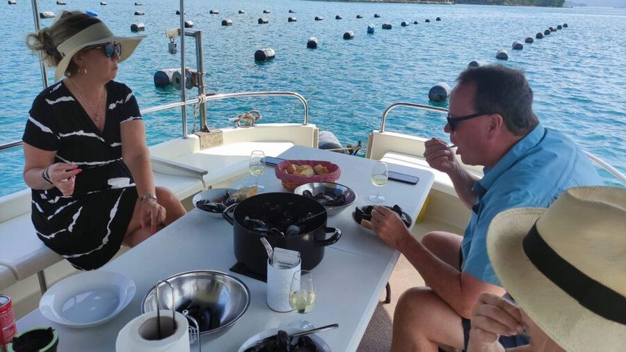 Dubrovnik: Oyster, Mussles, and Wine Tasting Tour in Ston - Dubrovnik hotel pickup to Ston in air-conditioned comfort
