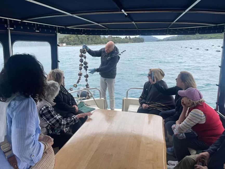 Dubrovnik: Oyster, Mussles, and Wine Tasting Tour in Ston - Price and timing reality check for a 4-hour listing