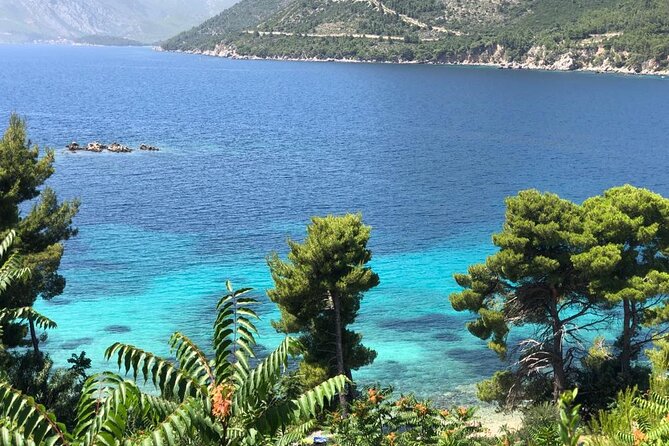 Dubrovnik Private Wine Tasting Tour to Peljesac Peninsula - Price and value: what $307.74 covers, and what you still pay for