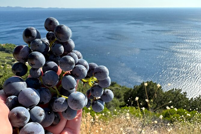 Dubrovnik Private Wine Tasting Tour to Peljesac Peninsula - Stop 1: Majkovi viewpoint for Elaphiti Islands and Mljet views