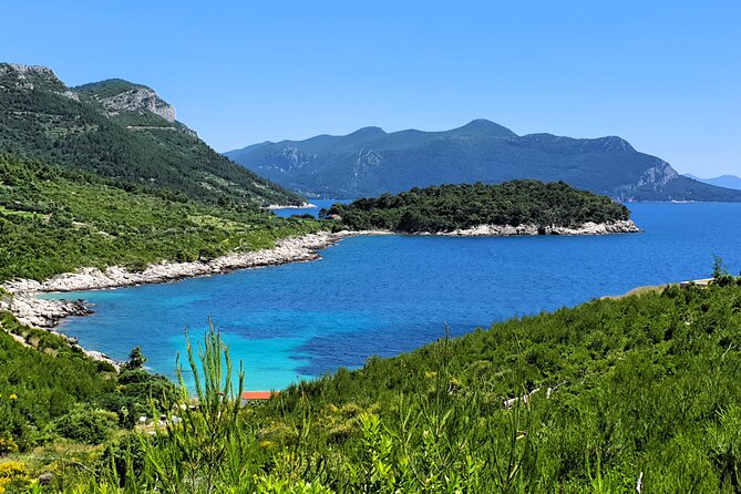 Dubrovnik Private Wine Tasting Tour to Peljesac Peninsula - Stop 5: Matusko winery cellar tour and choosing your tastings