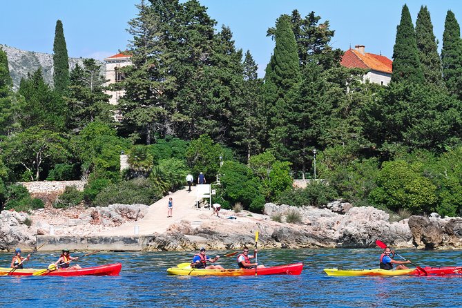 Dubrovnik: Sea Kayaking & Snorkeling Tour - Who this tour fits best, and who should reconsider