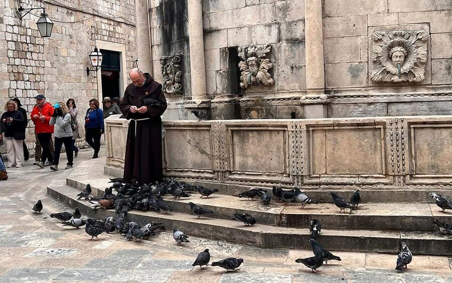 Dubrovnik: Small-Group Guided Old Town History Walking Tour - Stradun and Onofrio’s Fountain: where the main street turns into a story