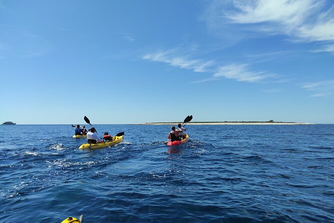 Dugi Otok - half day kayak adventure - Price and Value: Is $114.65 Worth It?