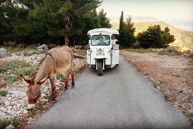 E-Tuk Tuk Tour in Dubrovnik - Why an Electric Tuk-Tuk Feels Like the Smart Dubrovnik Choice