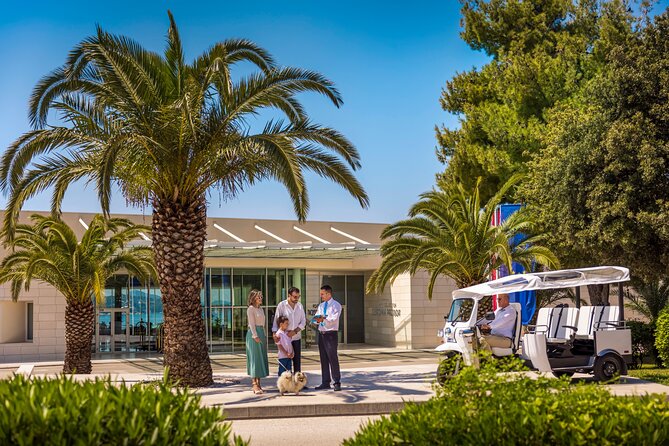 E-Tuk Tuk Tour in Dubrovnik - Guides and Group Size: What Makes the Tour Work