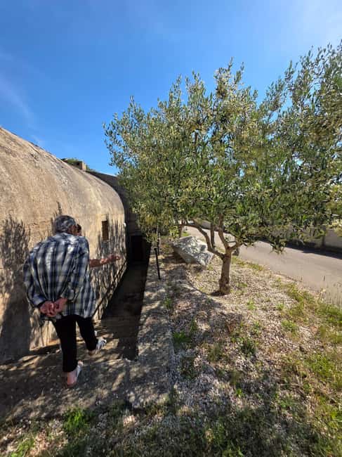 Eco tuk tuk Highlights of Zadar - Land Gate Stop: Fast Access to Old Town Energy